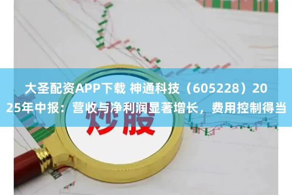大圣配资APP下载 神通科技（605228）2025年中报：营收与净利润显著增长，费用控制得当