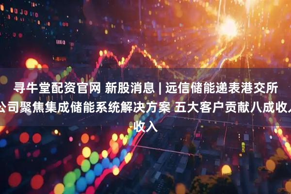 寻牛堂配资官网 新股消息 | 远信储能递表港交所 公司聚焦集成储能系统解决方案 五大客户贡献八成收入