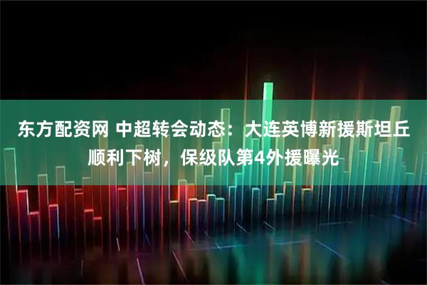 东方配资网 中超转会动态：大连英博新援斯坦丘顺利下树，保级队第4外援曝光