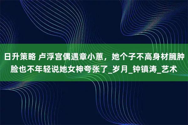 日升策略 卢浮宫偶遇章小蕙，她个子不高身材臃肿脸也不年轻说她女神夸张了_岁月_钟镇涛_艺术