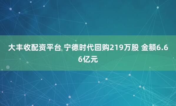大丰收配资平台 宁德时代回购219万股 金额6.66亿元